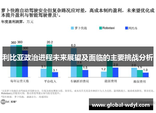 利比亚政治进程未来展望及面临的主要挑战分析 利比亚政治进程未来展望及面临的主要挑战分析