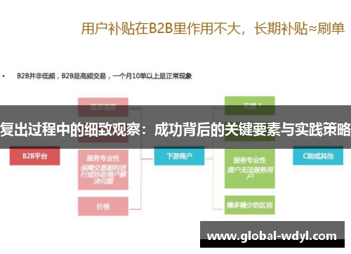 复出过程中的细致观察:成功背后的关键要素与实践策略 复出过程中的细致观察:成功背后的关键要素与实践策略