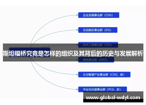 斯坦福桥究竟是怎样的组织及其背后的历史与发展解析 斯坦福桥究竟是怎样的组织及其背后的历史与发展解析