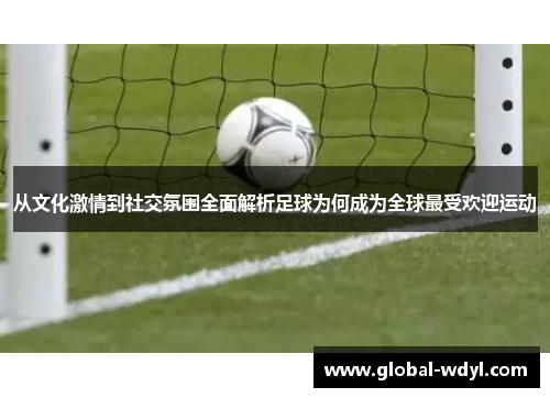 从文化激情到社交氛围全面解析足球为何成为全球最受欢迎运动 从文化激情到社交氛围全面解析足球为何成为全球最受欢迎运动