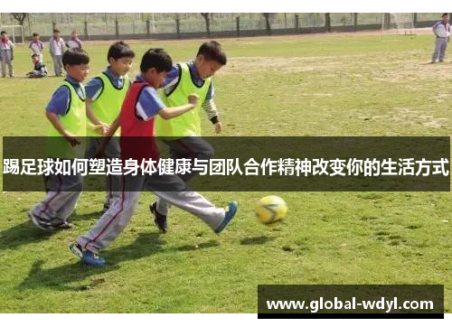 踢足球如何塑造身体健康与团队合作精神改变你的生活方式