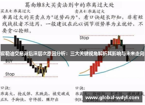 霍勒迪交易背后深层次原因分析：三大关键视角解析其影响与未来走向