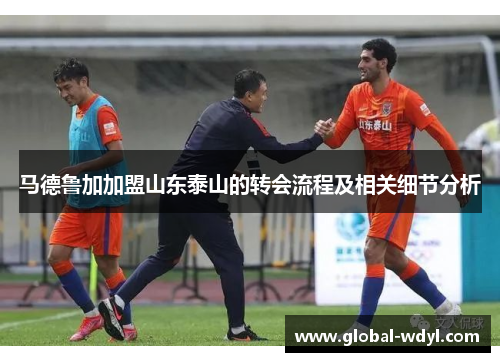 马德鲁加加盟山东泰山的转会流程及相关细节分析 马德鲁加加盟山东泰山的转会流程及相关细节分析