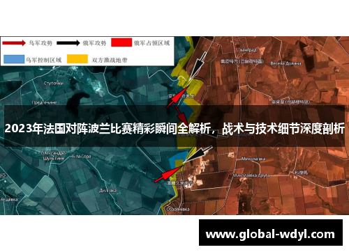 2023年法国对阵波兰比赛精彩瞬间全解析，战术与技术细节深度剖析