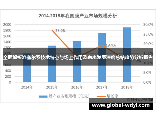 全面解析洛塞尔索技术特点与场上作用及未来发展深度总结趋势分析报告