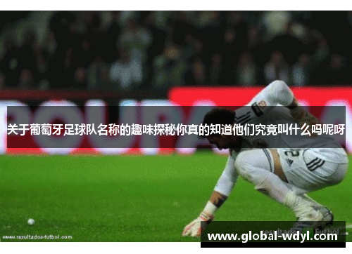 关于葡萄牙足球队名称的趣味探秘你真的知道他们究竟叫什么吗呢呀