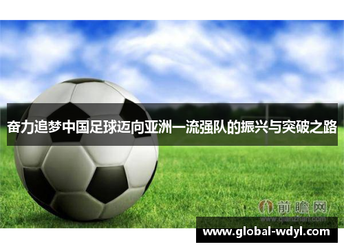 奋力追梦中国足球迈向亚洲一流强队的振兴与突破之路