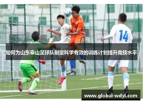 如何为山东泰山足球队制定科学有效的训练计划提升竞技水平