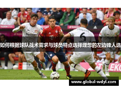 如何根据球队战术需求与球员特点选择理想的左边锋人选