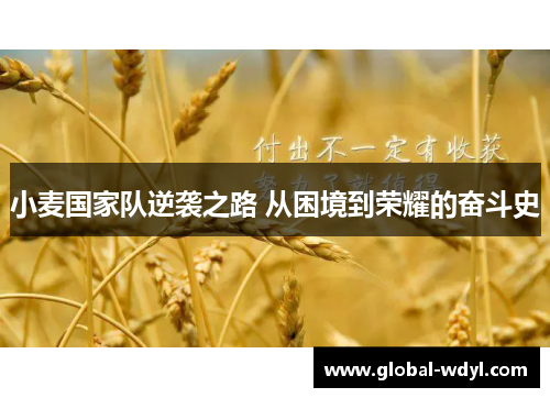 小麦国家队逆袭之路 从困境到荣耀的奋斗史