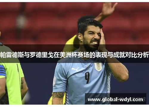 帕雷德斯与罗德里戈在美洲杯赛场的表现与成就对比分析 帕雷德斯与罗德里戈在美洲杯赛场的表现与成就对比分析