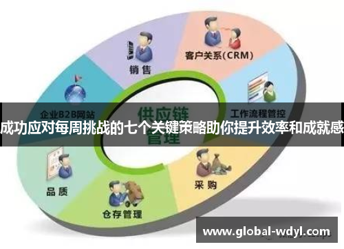 成功应对每周挑战的七个关键策略助你提升效率和成就感 成功应对每周挑战的七个关键策略助你提升效率和成就感